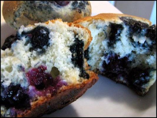 Blueberry Muffin Recipe