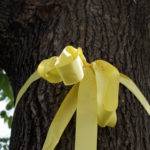 Yellow-ribbon