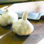 Garlic