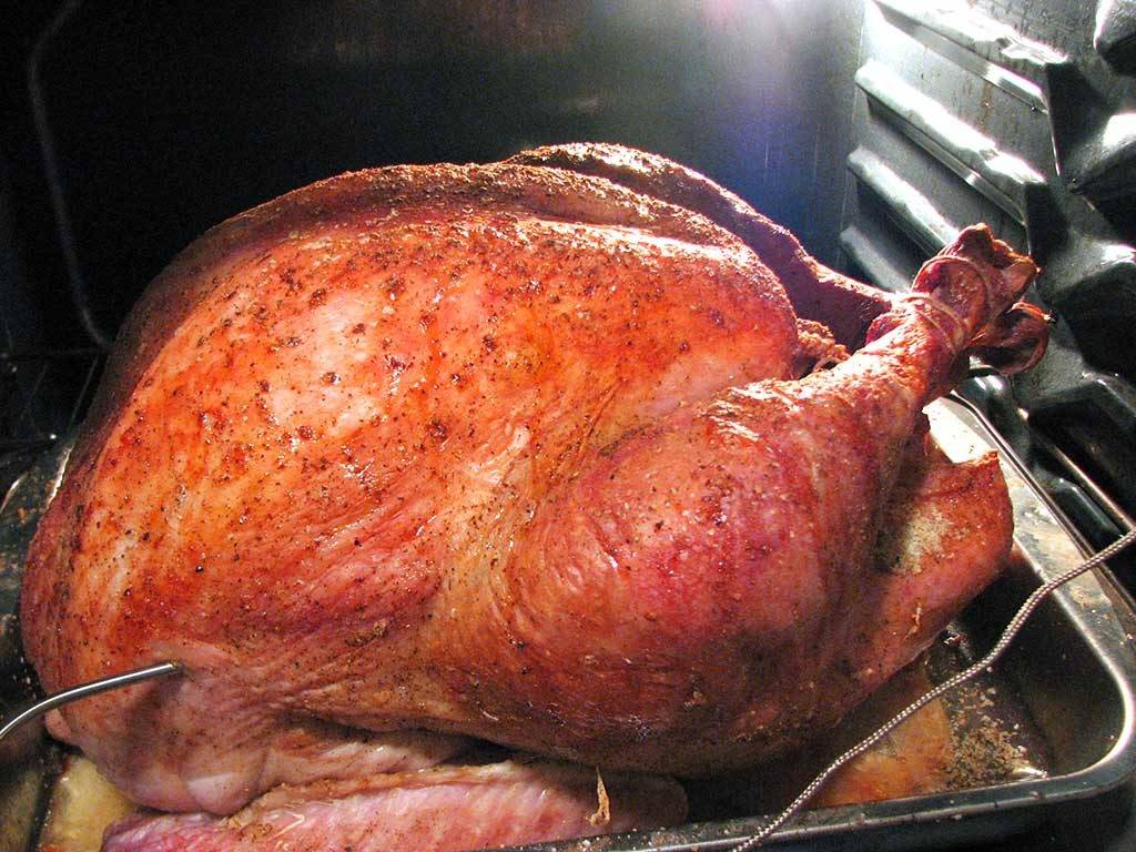 perfect. Gorgeous. Wonderfully juicy roast turkey