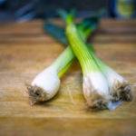 beautiful green onions for bacon fried rice beautiful green onions for bacon fried rice