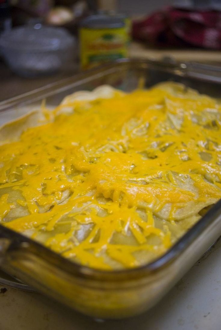 Chicken Enchilada Casserole