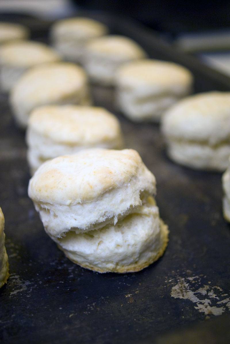 biscuits-cooked-all-light-and-fluffy