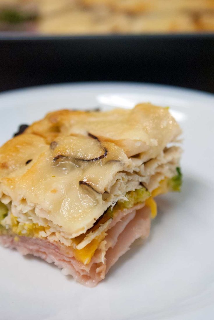 Ham, Turkey, Broccoli and Cheese Casserole - A simple family meal
