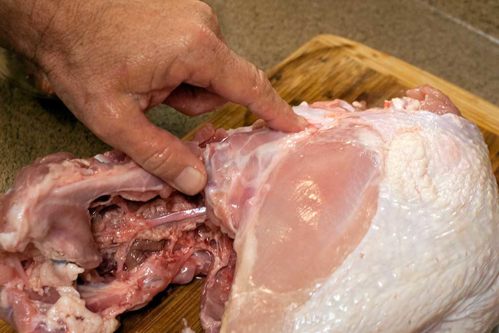 where to cut the ribs - How to butcher a turkey series