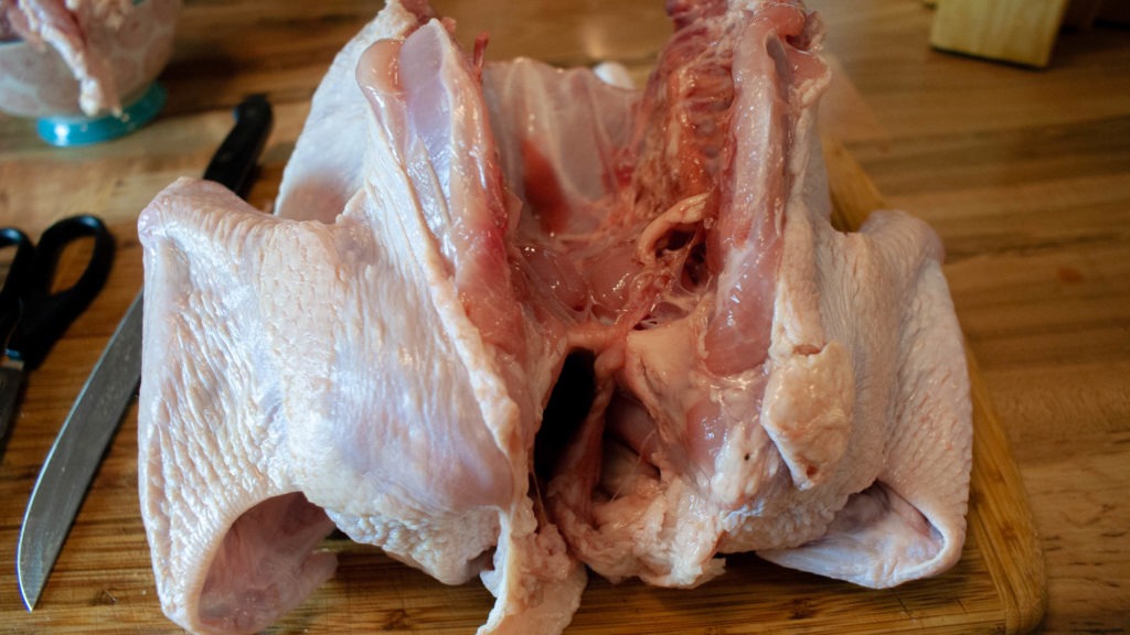 whole turkey with backbone removed, ready to spatchcock